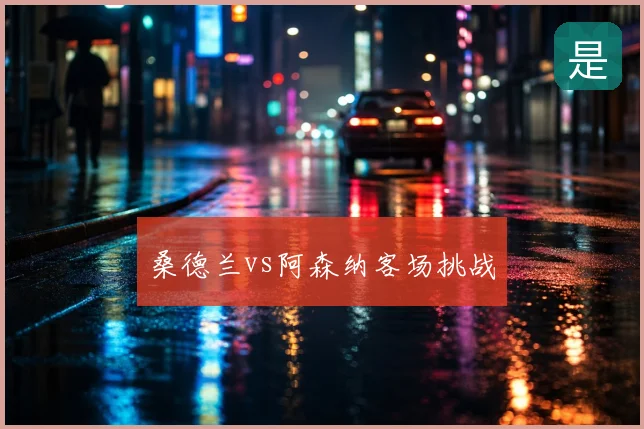 桑德兰vs阿森纳客场挑战